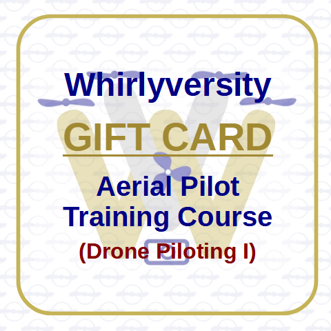 Aerial Pilot Training (DP-I)